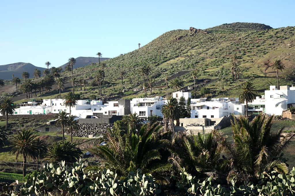 Lanzarote - Tipico Canario